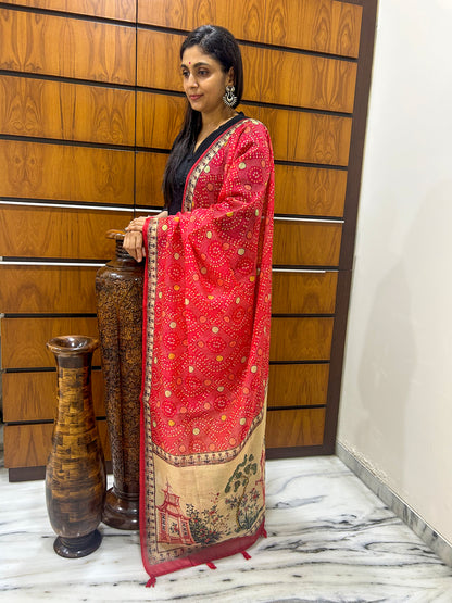 Bandhita Chanderi Dupatta - Yuvani